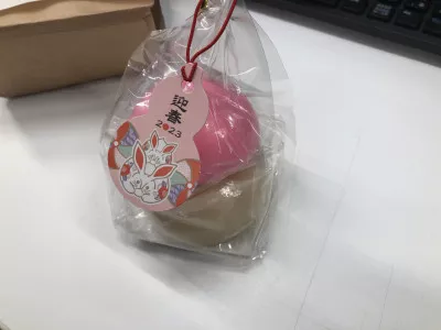 早くも新年の……  タンガシンです