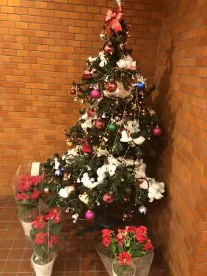 メリークリスマス オジサンです  タンガシンです