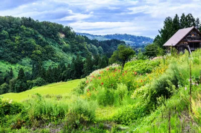 山に登りたい