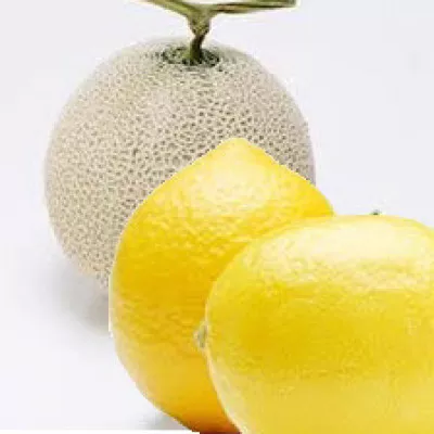新しい果物レモンメロンが誕生！