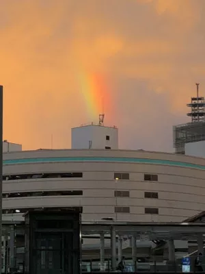 幻想的で新鮮  タンガシンです