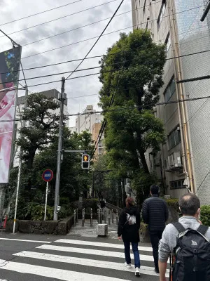 カフェの前日②（2024-11,,,2回目）