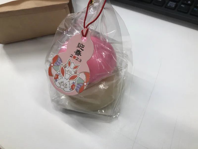 早くも新年の……  タンガシンです