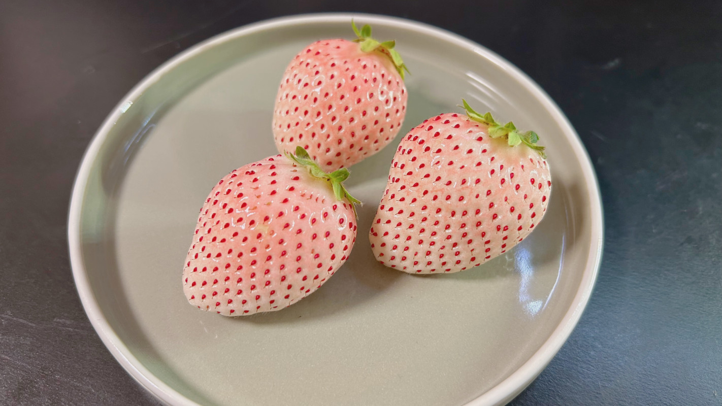 ちょっとした贅沢