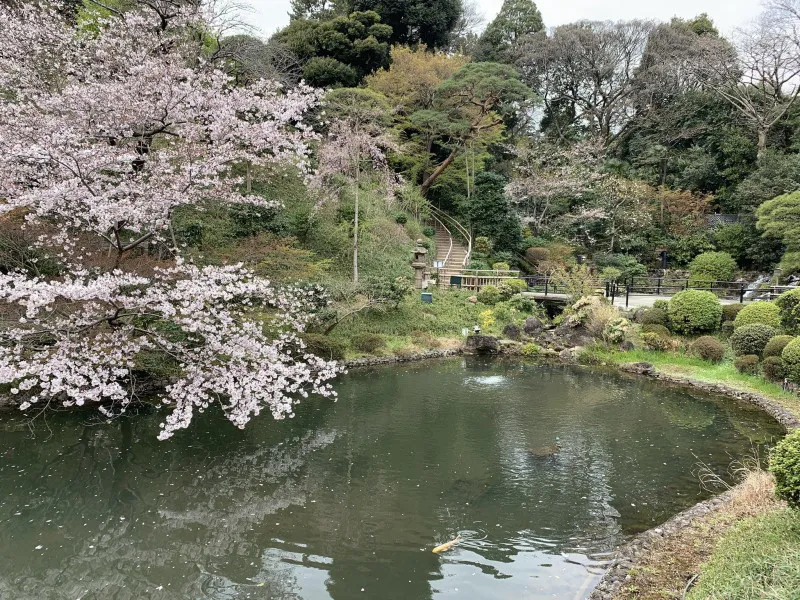 生存あり。