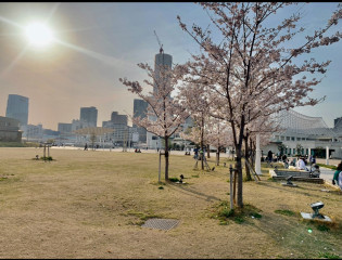 3年前の今日