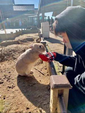 うさちゃんからのお手