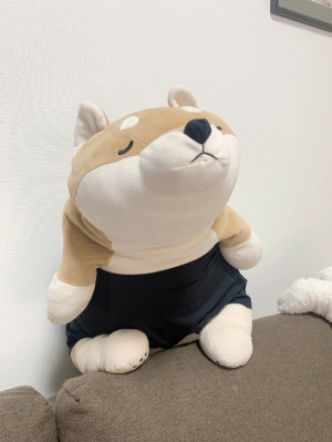ブンちゃんにおパンツ