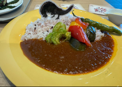 健康なカレー