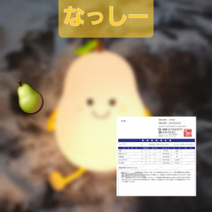 新しい仲間。