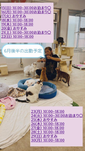 6月後半