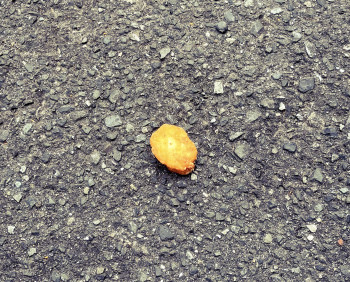 からあげクン落とした...