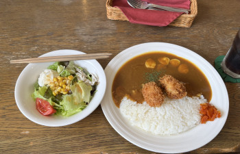 目指せセラモンマスター！セラピスト図鑑٩( ᐛ )و
