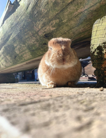 カメラマンが撮った写真じゃないよ