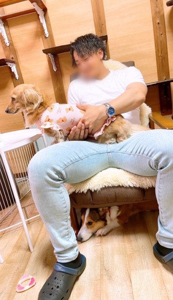 犬猫カフェ