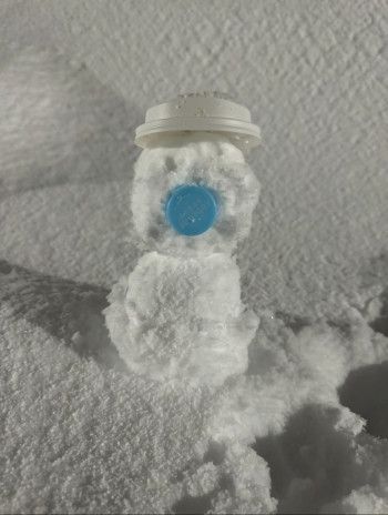 青森県産雪だるま
