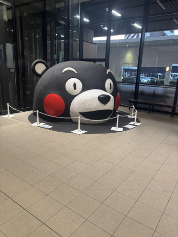 熊本で迷子