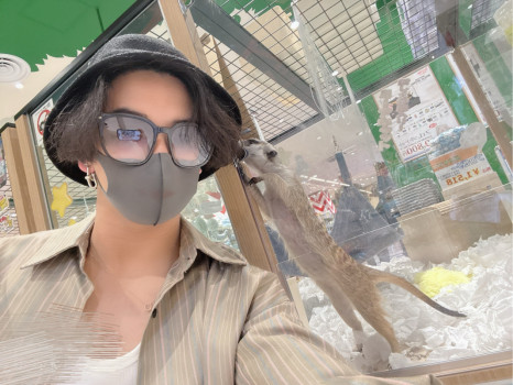 家族に欲しい