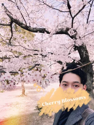 4月突入！桜の季節～～(*´▽｀*)