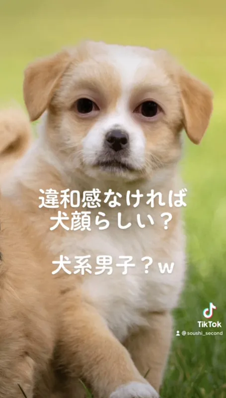 犬系男子ってこーゆー事？w