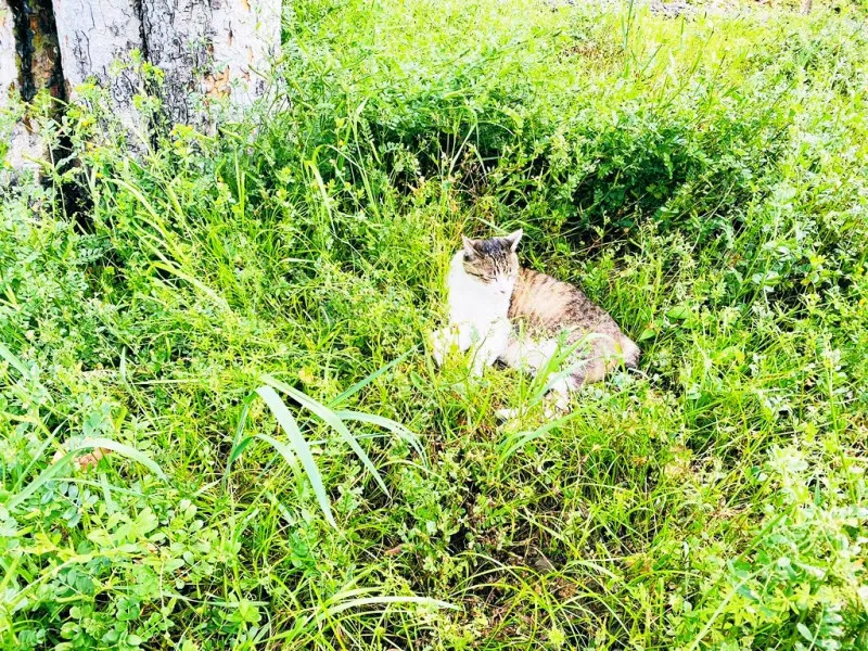 自然と親しもう！