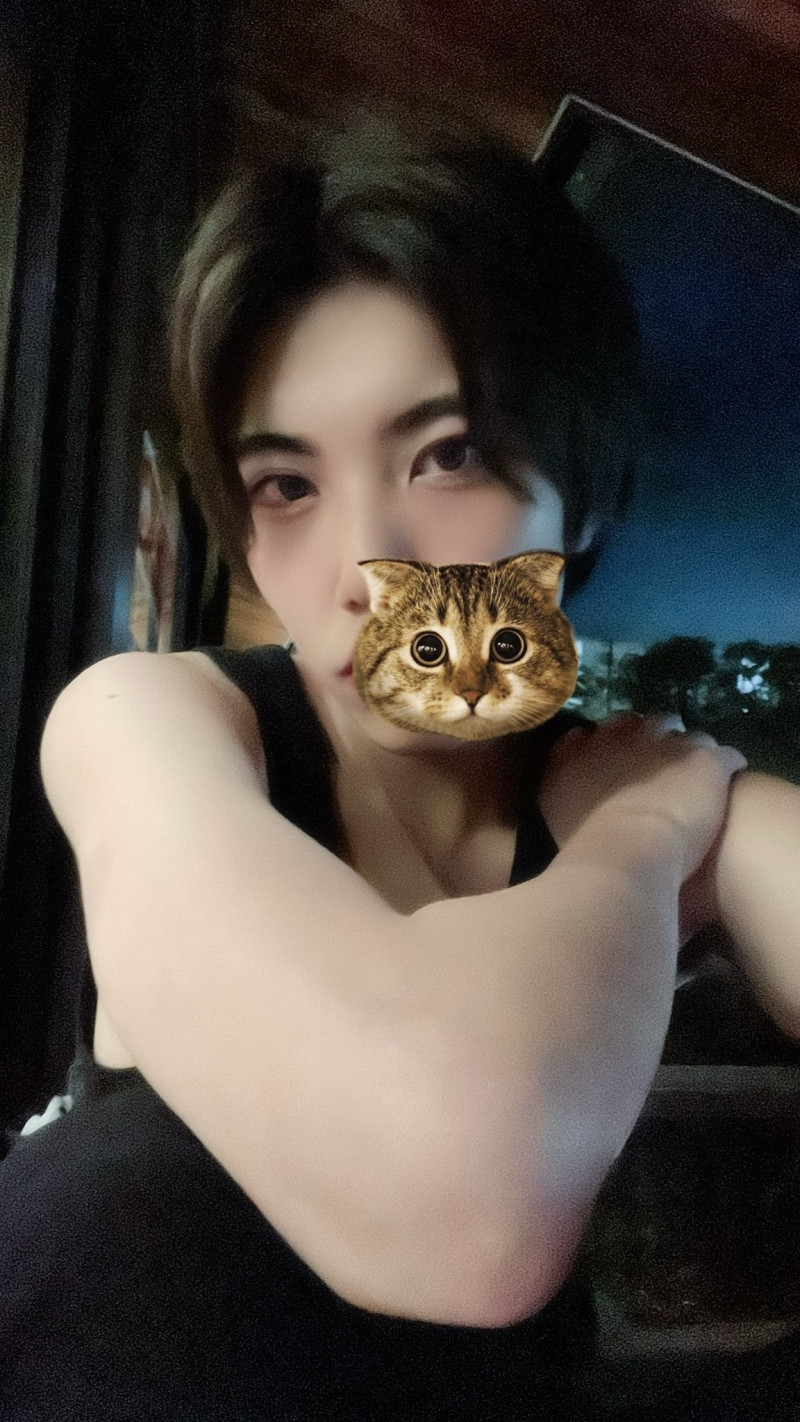 写真で一言シリーズ