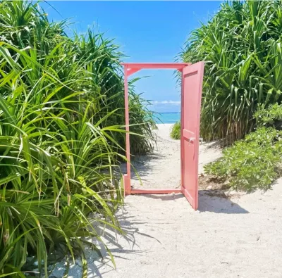 夏の扉
