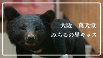 今日の12時より