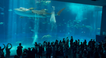 水族館