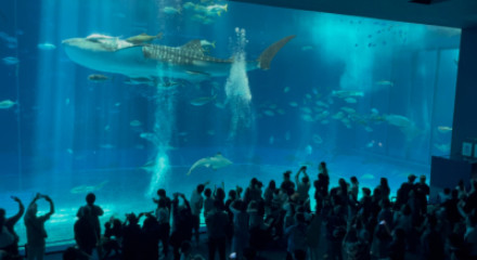 水族館