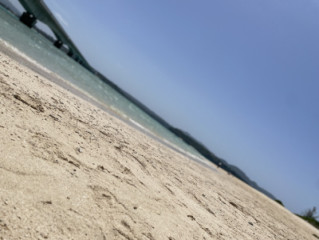 夏？