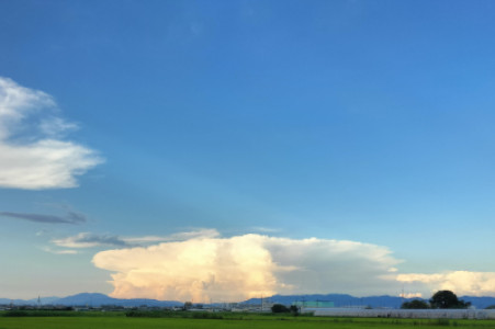 雲