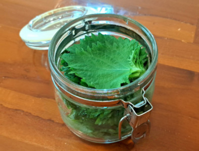 シソ醤油