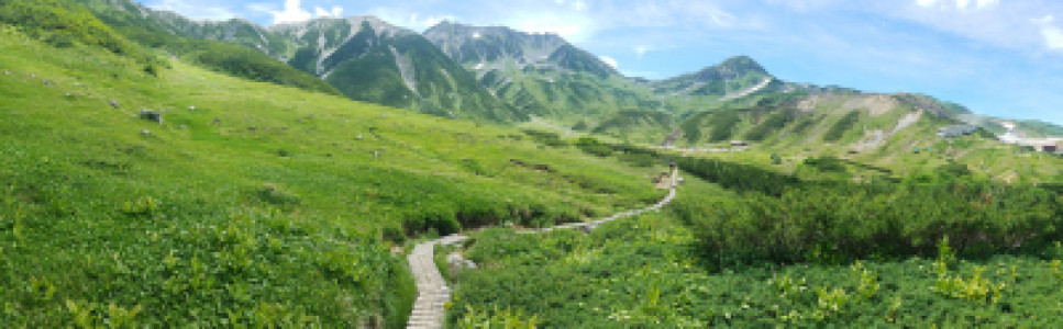 お山