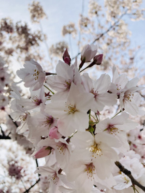 4月