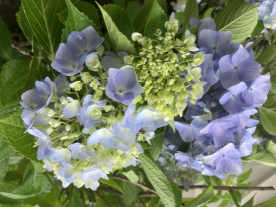 6月?