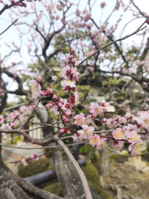 流します。
