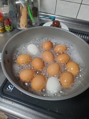 ごはん
