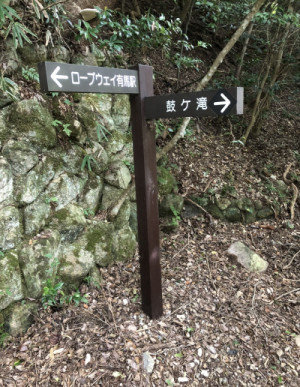 選択