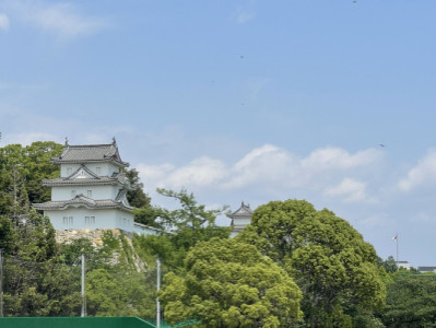 今日は明石公園???