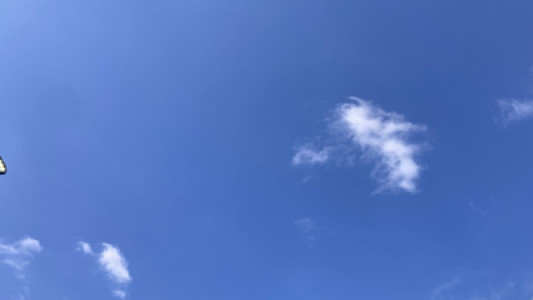 本日晴天、萬天日和！