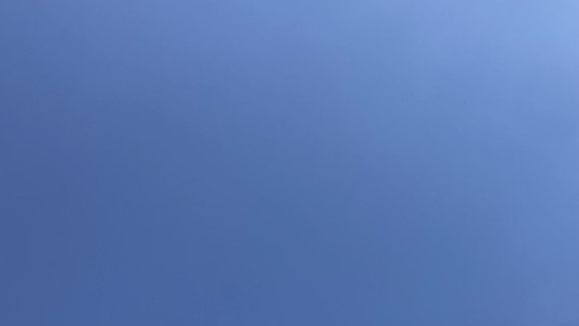 小春日和？