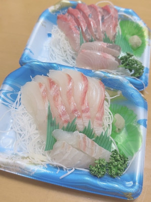 おはようございます??