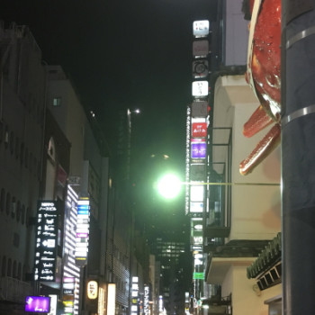 夜の蝶になった働きアリ