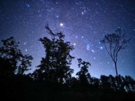 お星様が覗いてる
