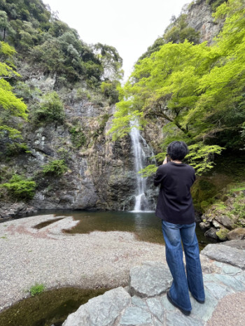 リフレッシュ