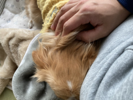 最終日?
