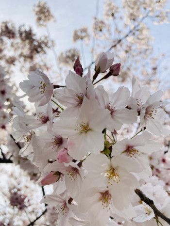 4月
