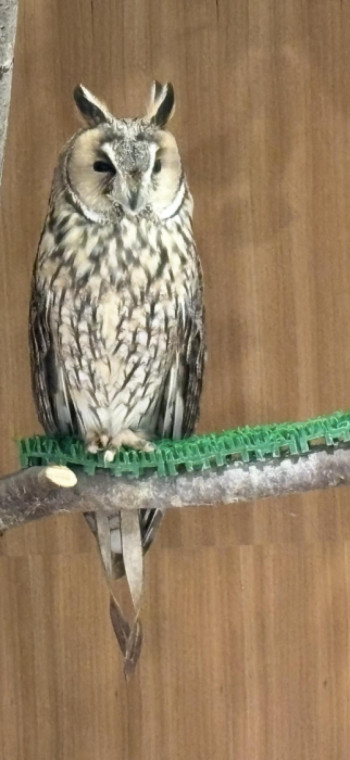 その瞬間