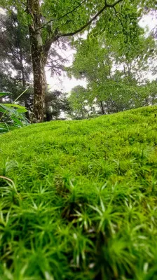 梅雨時期ですね?